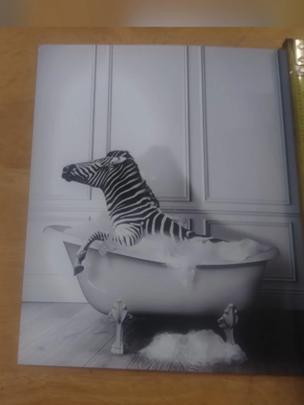 Zebra Bathtub Wall Art Print | Modern Bathroom Decor | Fashion Animal Photograph
